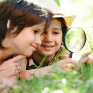 Questionar para entender que a ciência é dinâmica