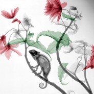 A natureza em todos os seus mínimos detalhes