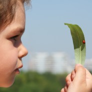 Passeios para aprender biologia bem de perto