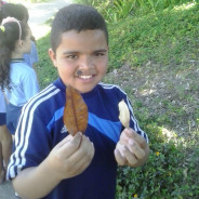 Etapas integradas com as matérias da turma