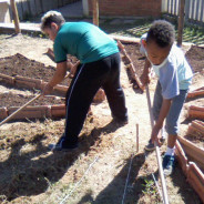 TFC na montagem de um herbário e uma horta