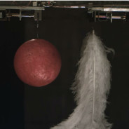 Caindo no vácuo: uma experiência impressionante!