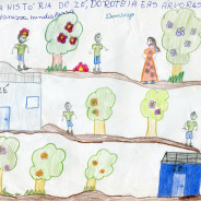 Uma pasta especial para TIM Faz Ciência