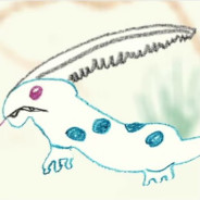 A evolução ilustrada por crianças do EF