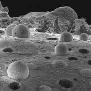 Ciência que vira arte com a fotografia