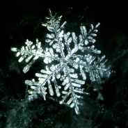 Formatos e belezas únicas dos cristais de neve